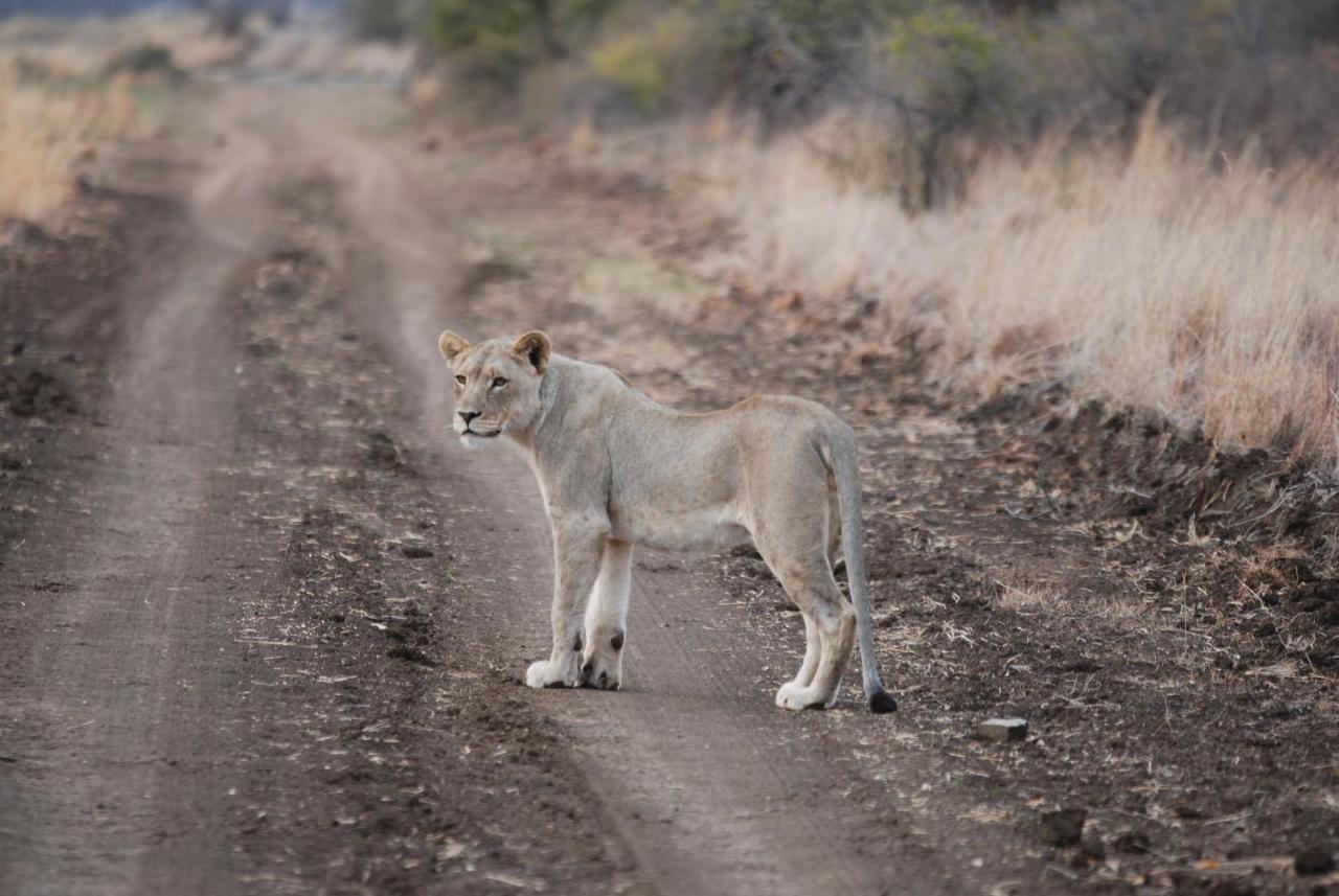 Kgorogoro Lodge พีลาเนสเบิร์ก ภายนอก รูปภาพ